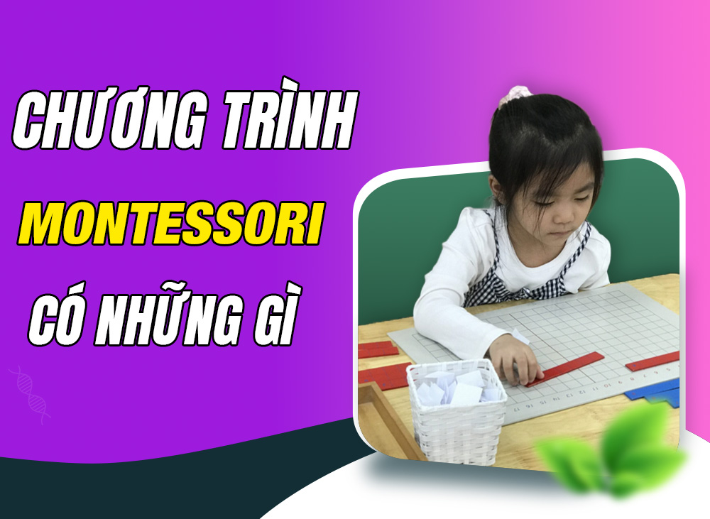 Chương trình Montessori Có Những Gì? Bé Học Montessori Như Thế Nào