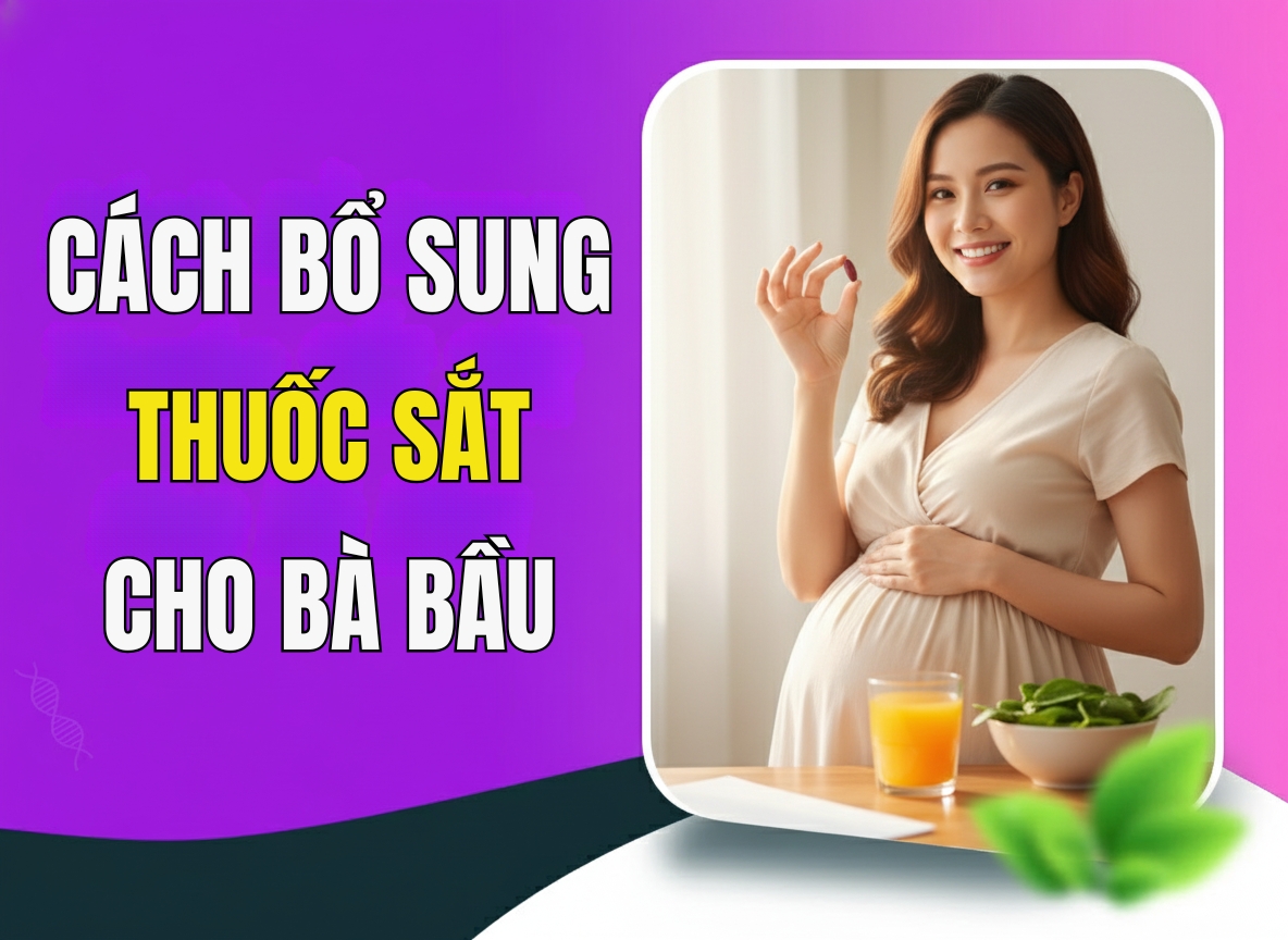 Cách Bổ Sung Thuốc Sắt Cho Bà Bầu - Lưu Ý Quan Trọng Mẹ Bầu Phải Biết