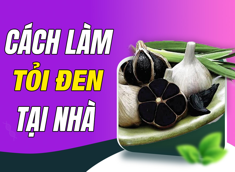 Chuyên Gia Mách Bạn 4 Cách Làm Tỏi Đen Dễ Dàng – Chất Lượng Cao