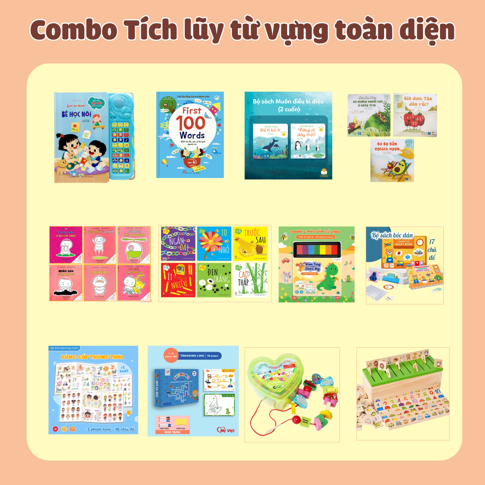 Combo Tích lũy từ vựng toàn diện