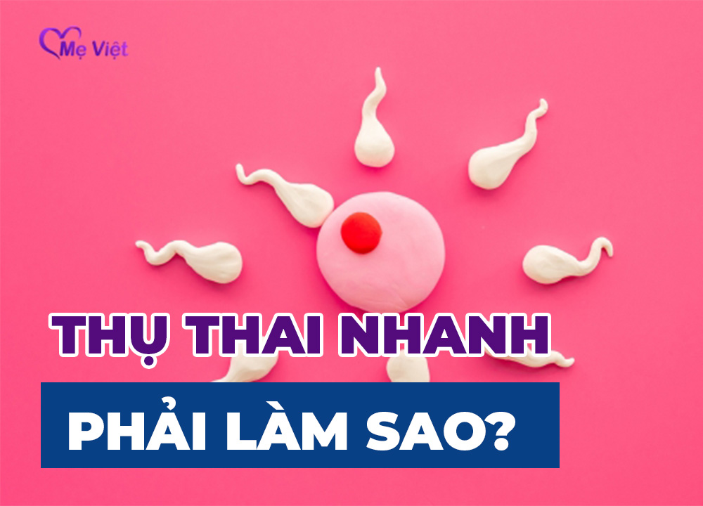 Muốn Thụ Thai Nhanh Phải Làm Sao? Bí Quyết Vợ Chồng Nhanh Có Tin Vui
