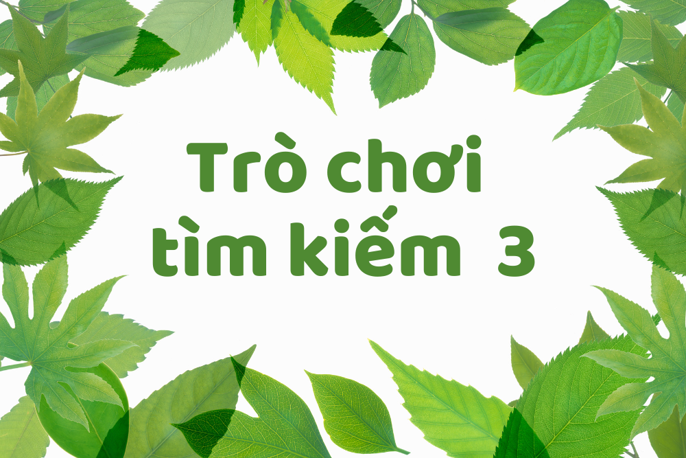 Trò chơi tìm kiếm 3