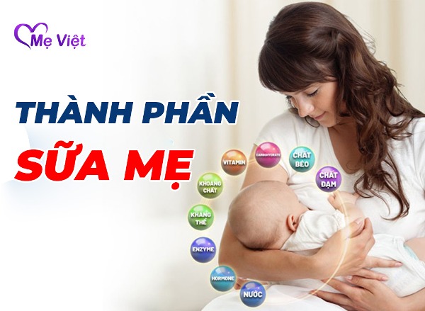 Thành Phần Khiến Sữa Mẹ Là Nguồn Dinh Dưỡng Tốt Nhất Cho Con