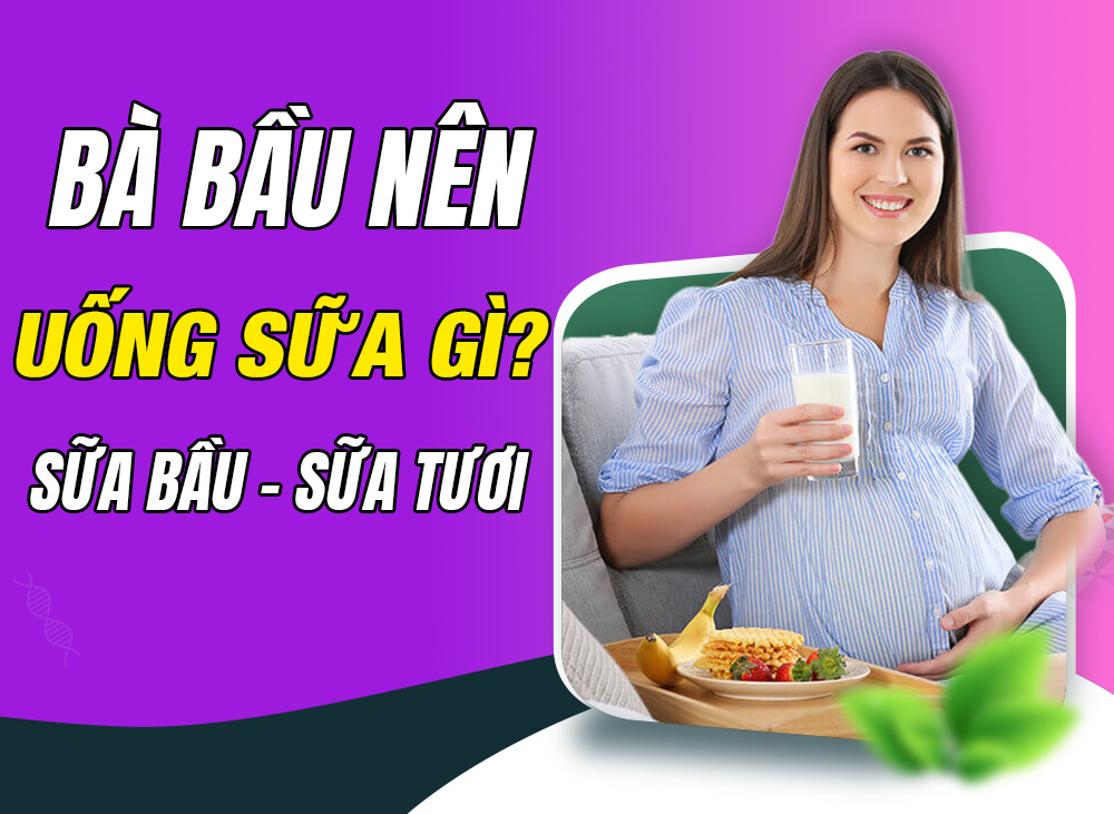 Bà Bầu Nên Uống Sữa Gì? Sữa Tươi Hay Sữa Bầu?
