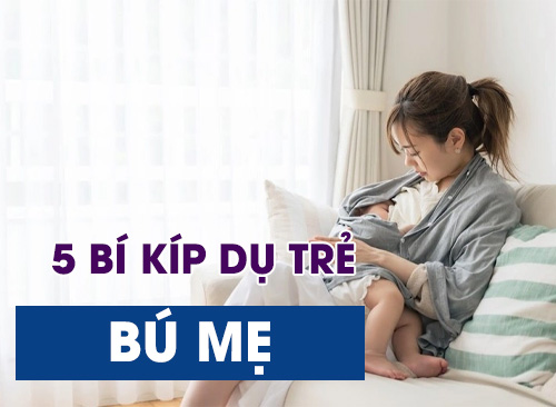 5 Bí Kíp Mẹ Bỉm Chiêu Dụ Thành Công Trẻ Sơ Sinh Không Chịu Bú Mẹ