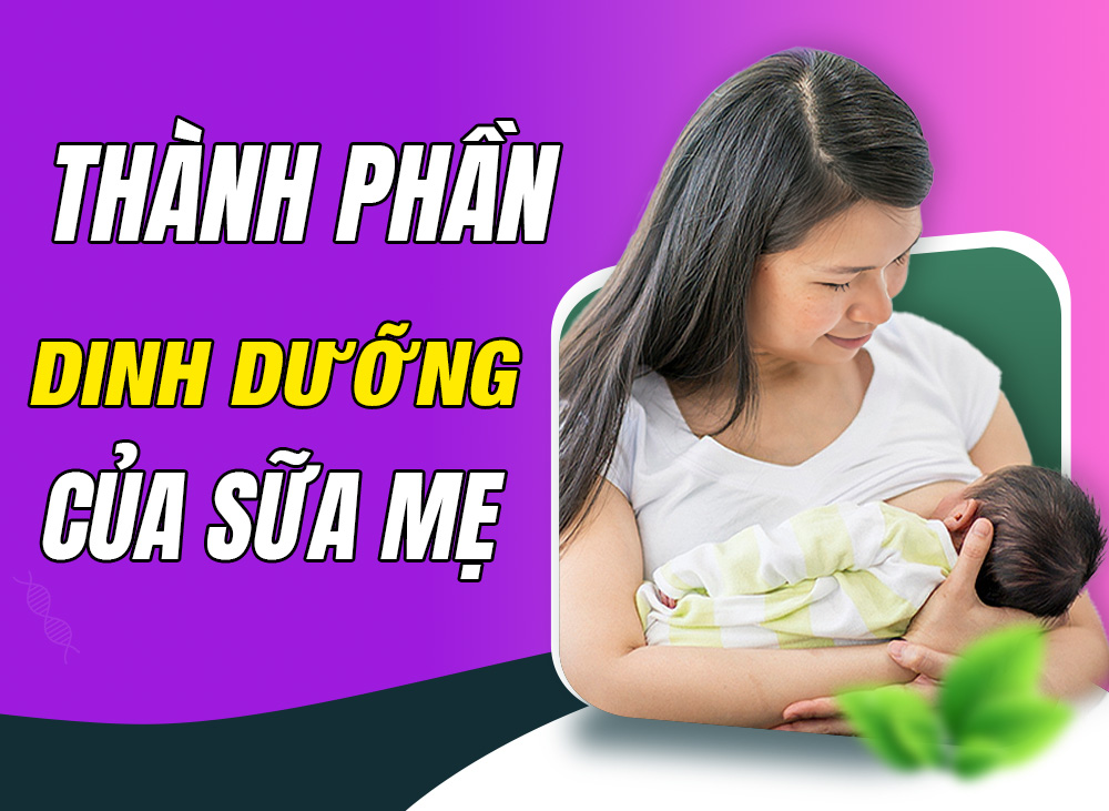 Thành Phần Khiến Sữa Mẹ Là Nguồn Dinh Dưỡng Tốt Nhất Cho Con