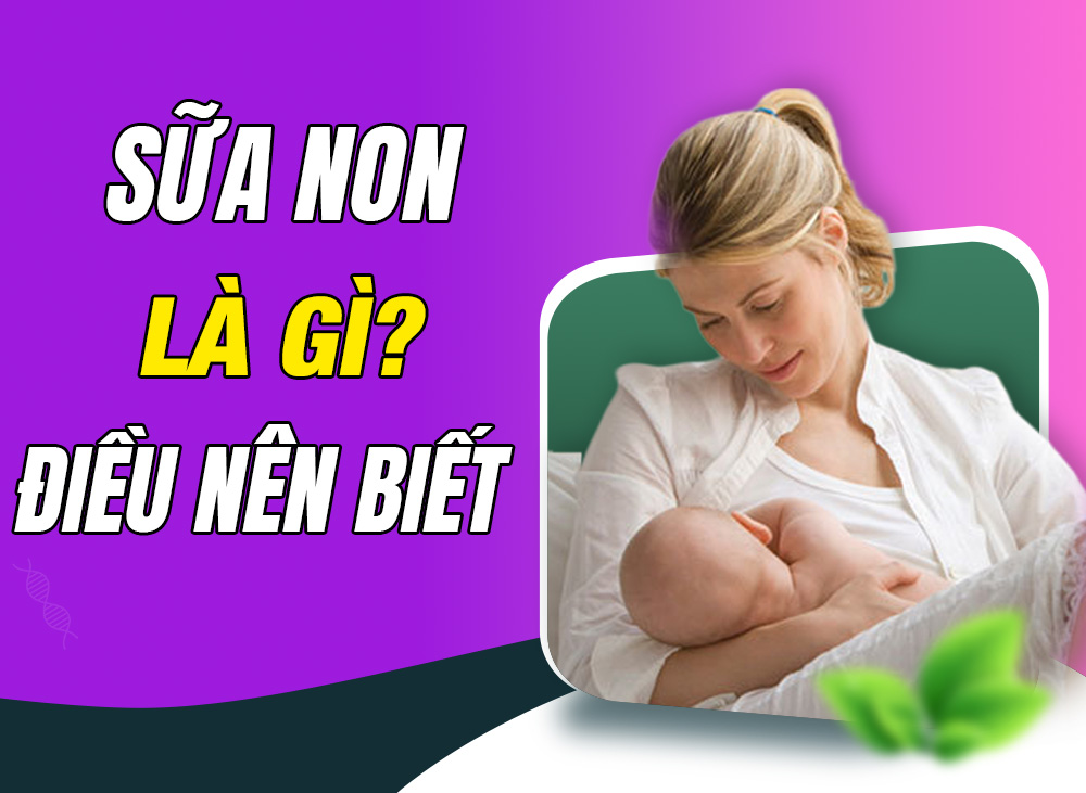 Sữa Non Là Gì? Những Điều Mẹ Chưa Biết Về Tác Dụng Của Sữa Non