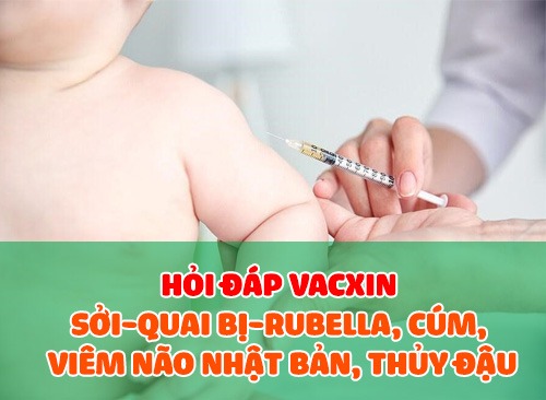 Hỏi Đáp Vacxin Sởi-Quai Bị-Rubella, Cúm, Viêm Não Nhật Bản, Thủy Đậu