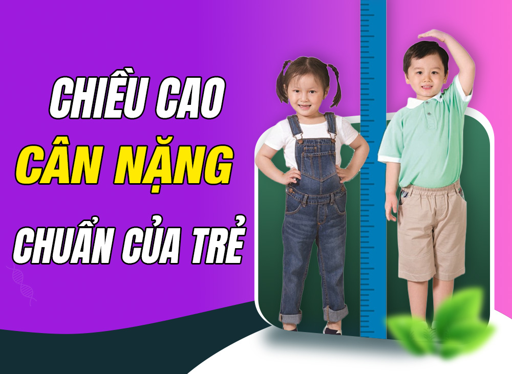 Chiều Cao Cân Nặng Chuẩn Của Trẻ - Giải Tỏa Áp Lực Tâm Lý Cho Mẹ