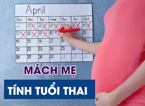 Mách Mẹ Cách Tính Tuổi Thai Và Ngày Dự Sinh Chuẩn Xác Nhất 