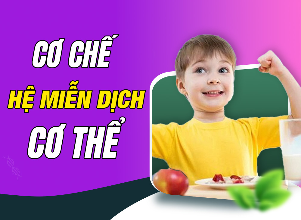 Cơ Chế Hệ Miễn Dịch Của Cơ Thể