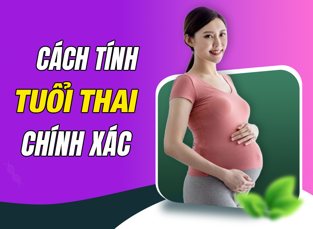 Mách Mẹ Cách Tính Tuổi Thai Và Ngày Dự Sinh Chuẩn Xác Nhất 