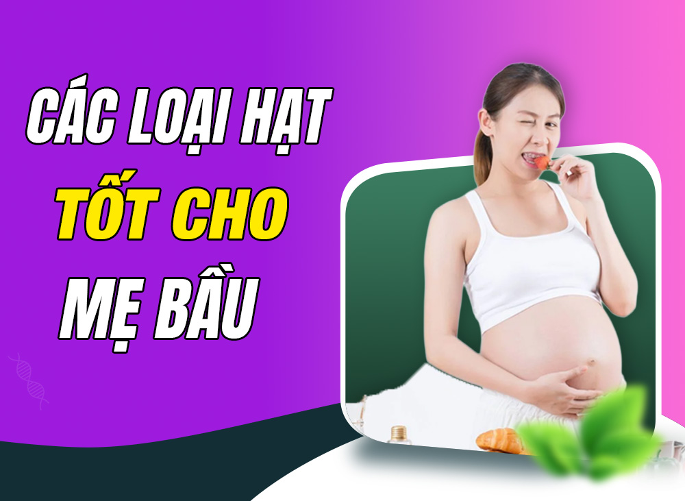 Top 10 Các Loại Hạt Tốt Cho Bà Bầu Giàu Dinh Dưỡng