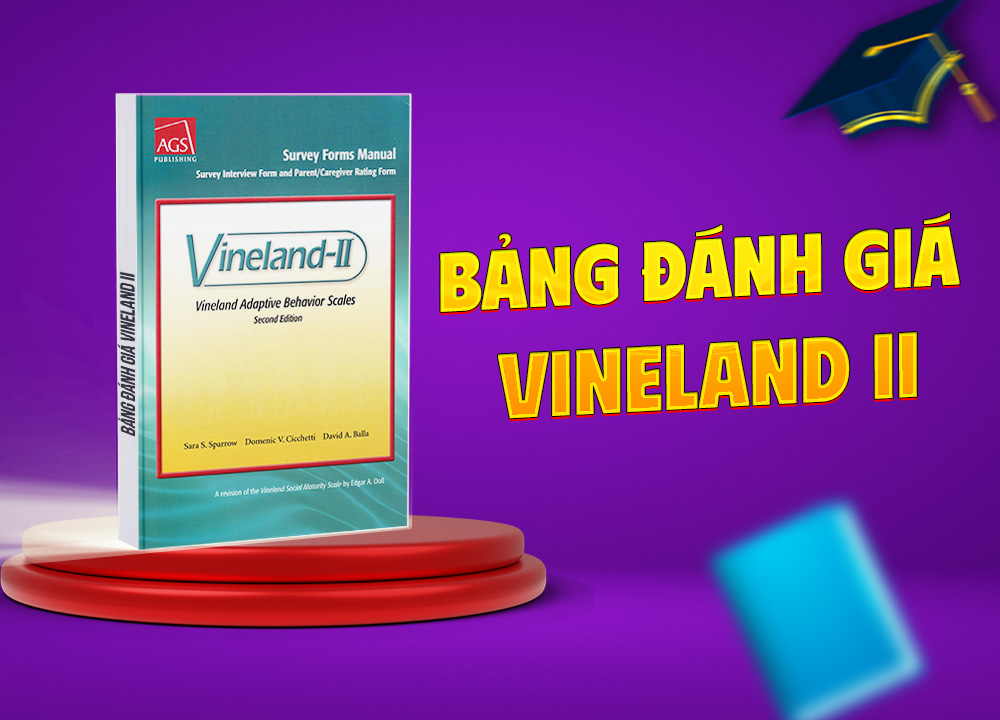 Bảng đánh giá Vineland II (kèm bản tóm tắt kết quả)