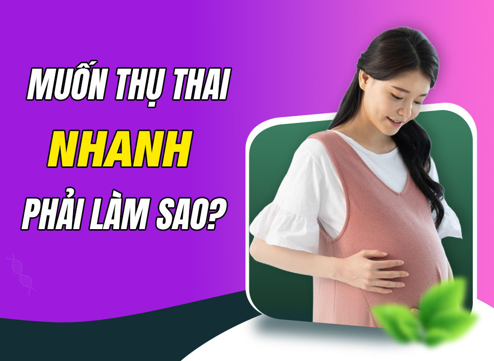 Muốn Thụ Thai Nhanh Phải Làm Sao? Bí Quyết Vợ Chồng Nhanh Có Tin Vui