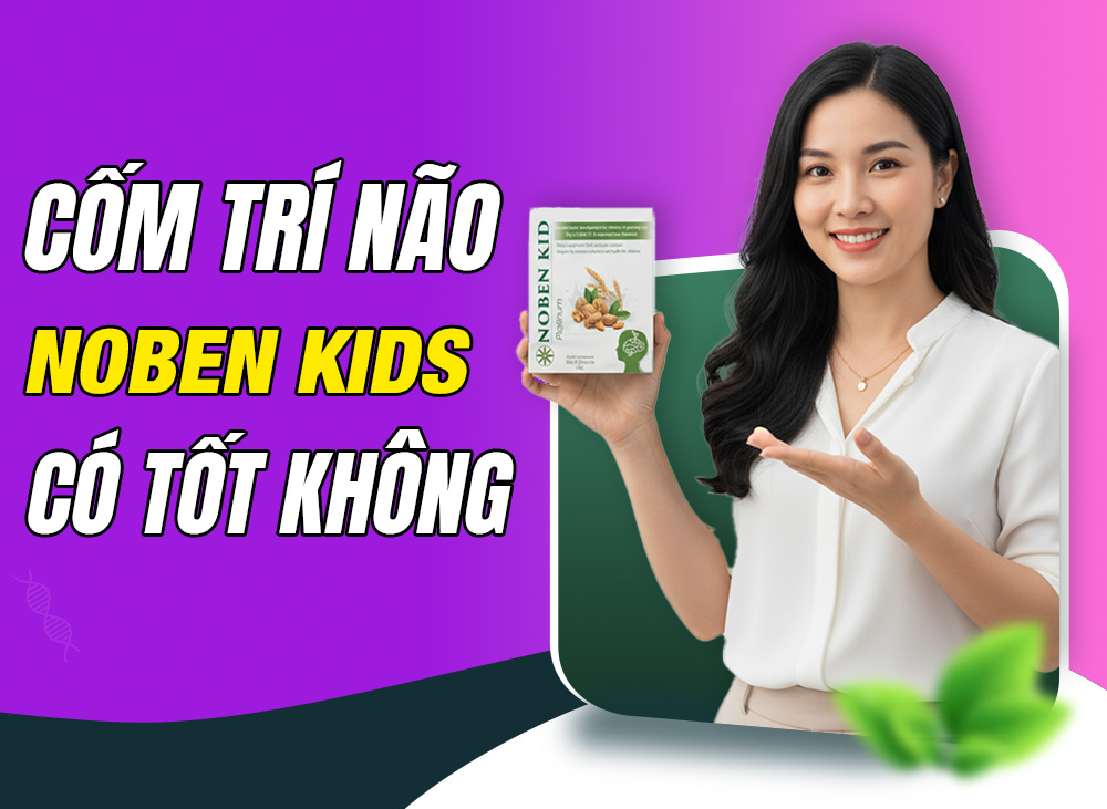 Cốm Trí Não Noben Kids Có Tốt Không? Mua Hàng Chính Hãng Ở Đâu?