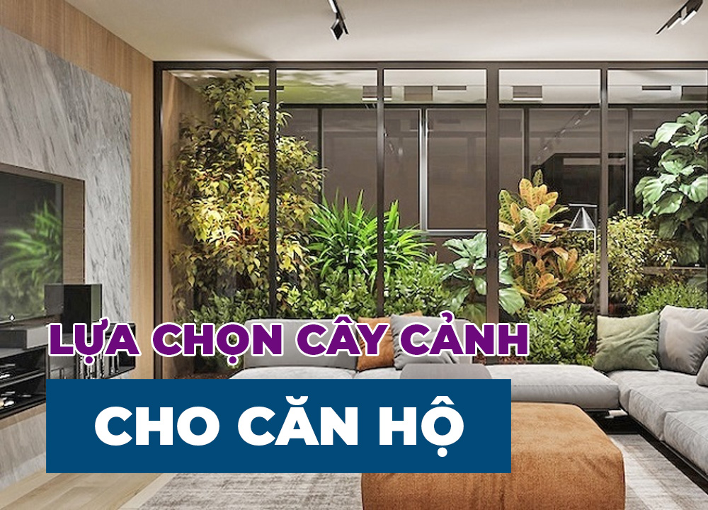 Lựa Chọn Cây Xanh Cho Căn Hộ Của Bạn