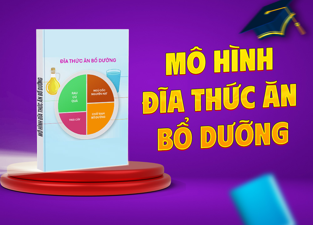 Mô hình đĩa thức ăn bổ dưỡng