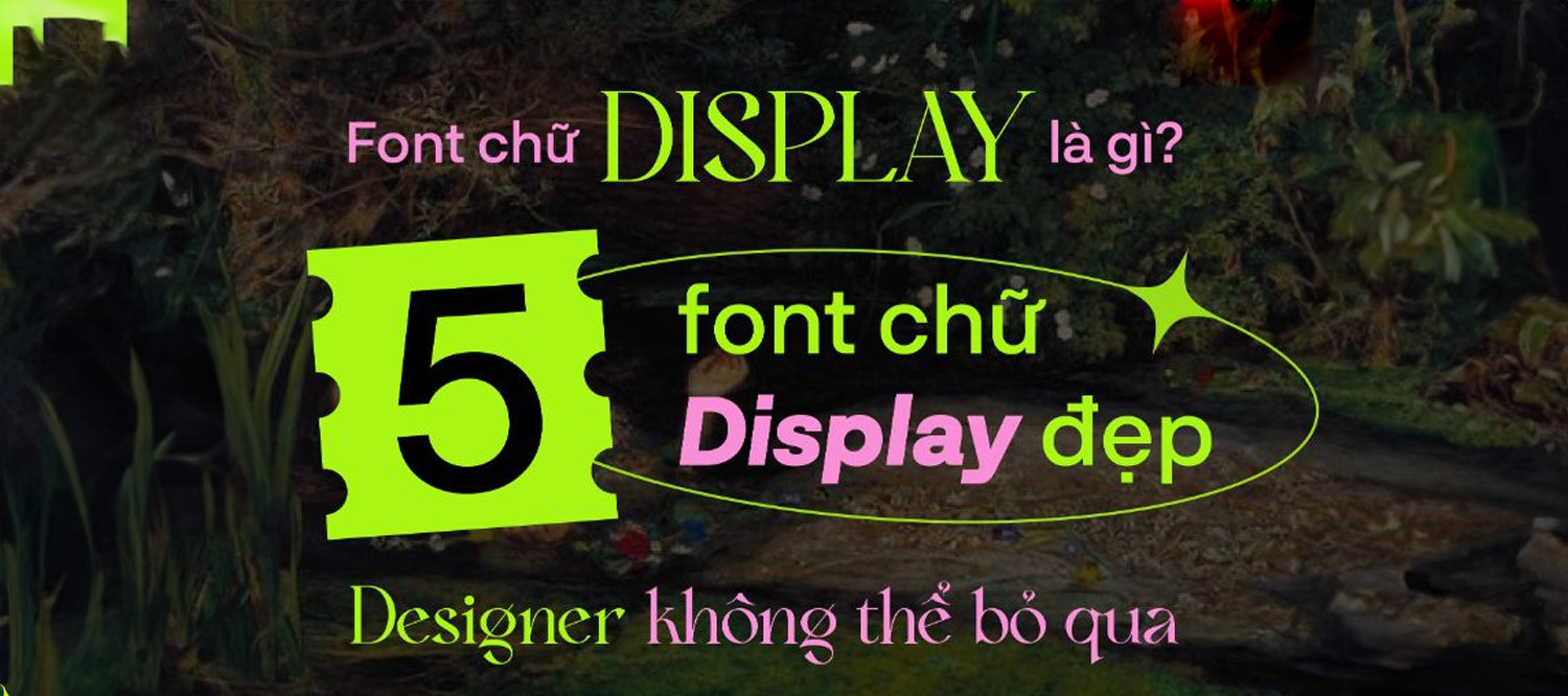 Giới Thiệu Về Font Chữ Display: Đặc Điểm Và Ứng Dụng