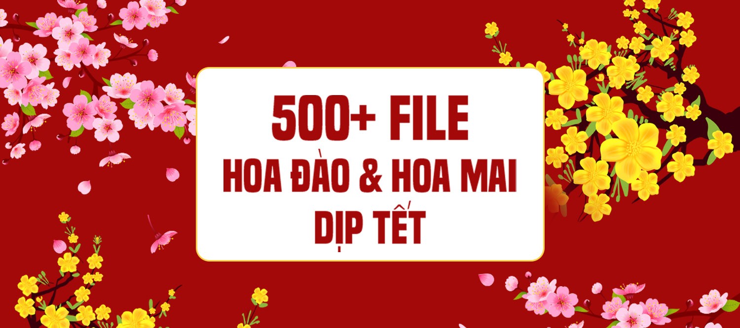 Tải xuống | 500+ file background hoa đào và hoa mai Tết 2025