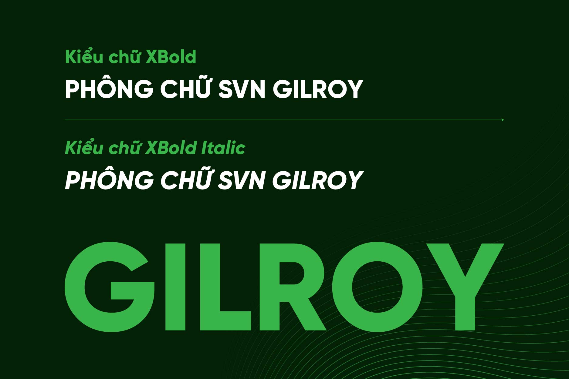 [Tải xuống] Full Bộ 20 kiểu Font Chữ SVN Gilroy Việt Hóa Sans Serif