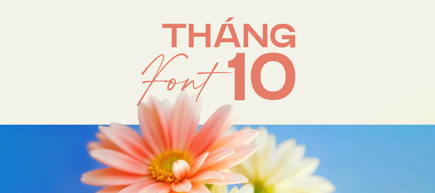[Tải Xuống] Top 10 Font Chữ Đẹp Việt Hóa Update Trong Tháng 5/2025 Tại S99.VN