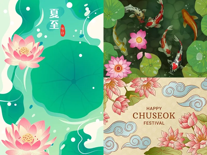 DANH MỤC | HOA SEN