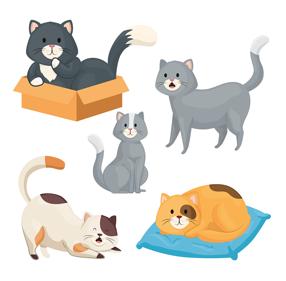 Bộ sưu tập cảm xúc những chú mèo cute file vector mẫu CM4