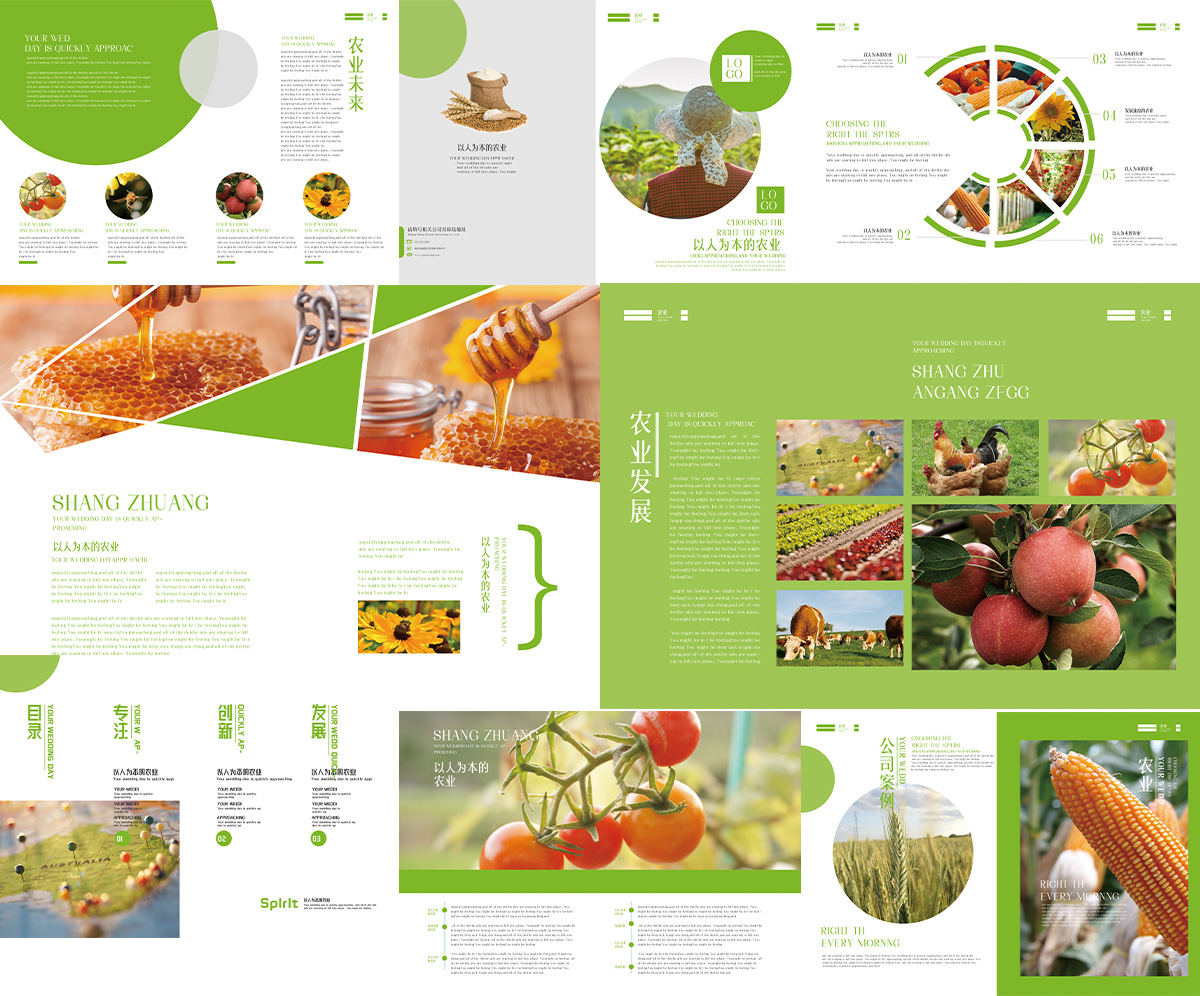 Catalog sản phẩn nông nghiệp hữu cơ số 2 file PSD