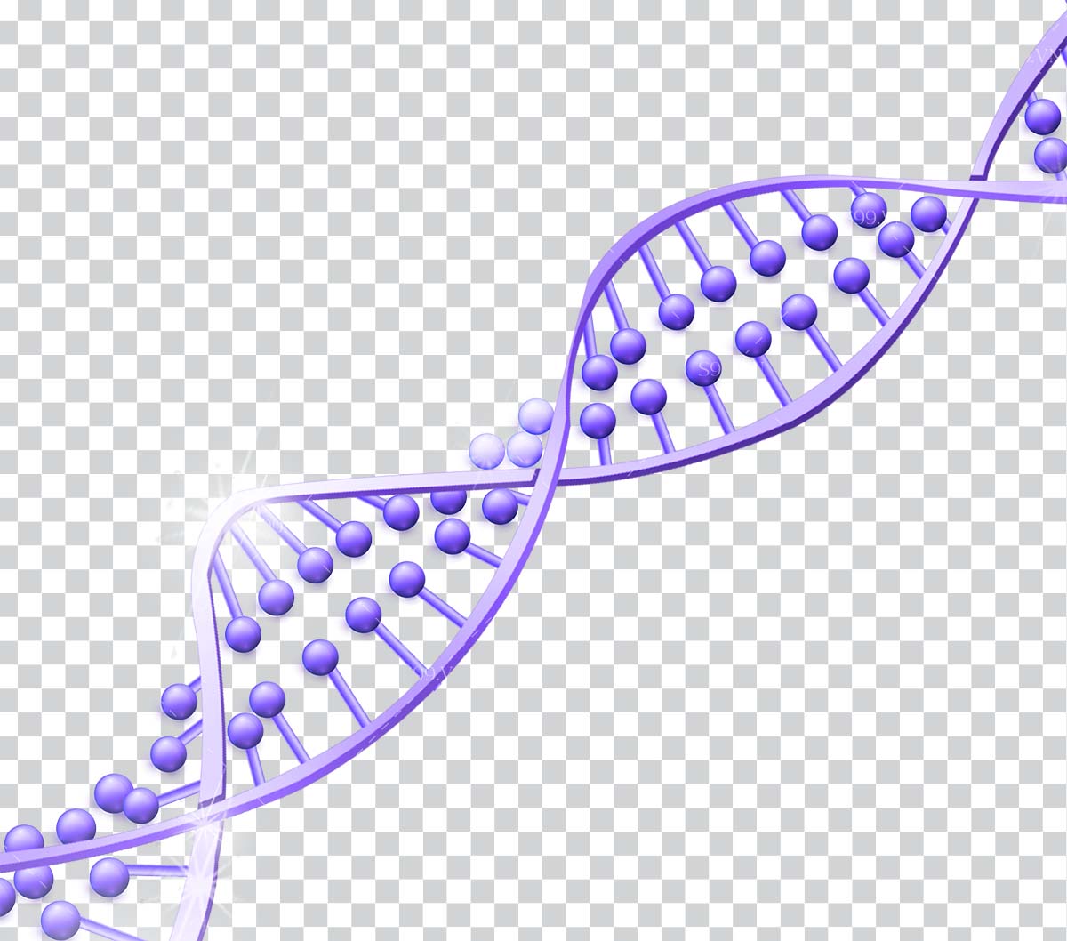 Hình ảnh cấu trúc đoạn DNA file PNG mẫu PT21