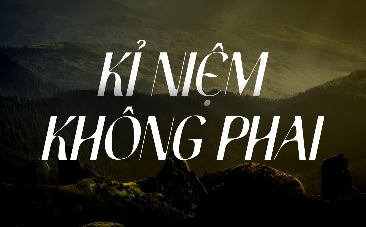 Phông chữ thanh lịch và tinh tế TH Kinglard Việt hóa