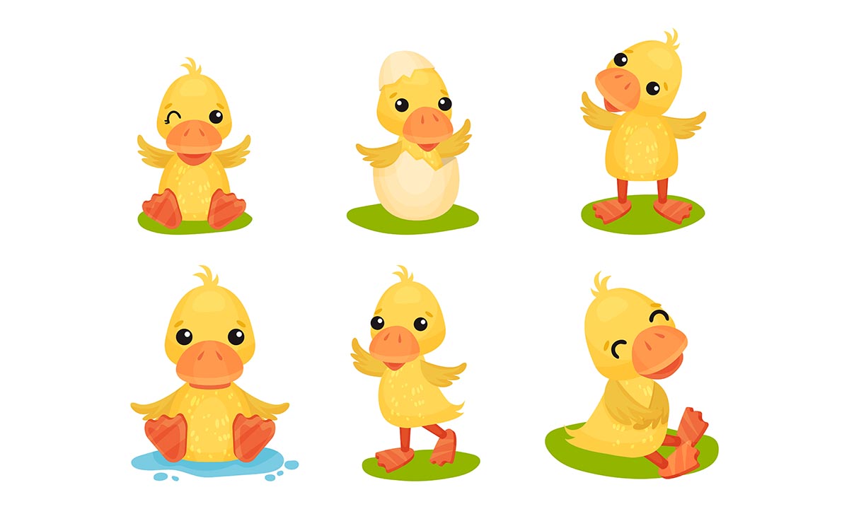 Hình minh họa con vịt vàng cute file vector mẫu số 248