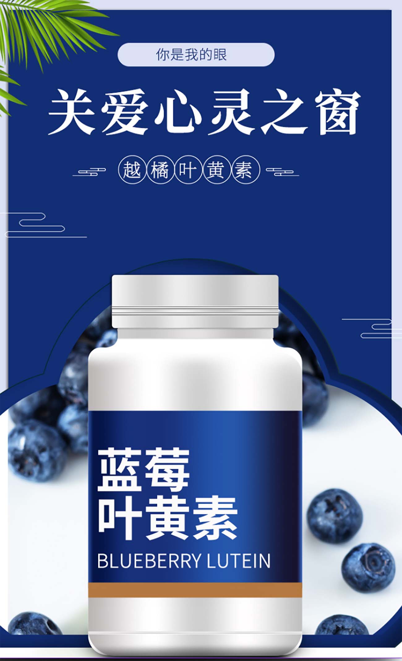 Poster quảng cáo vitamin chiết xuất từ quả việt quất S11 file PSD