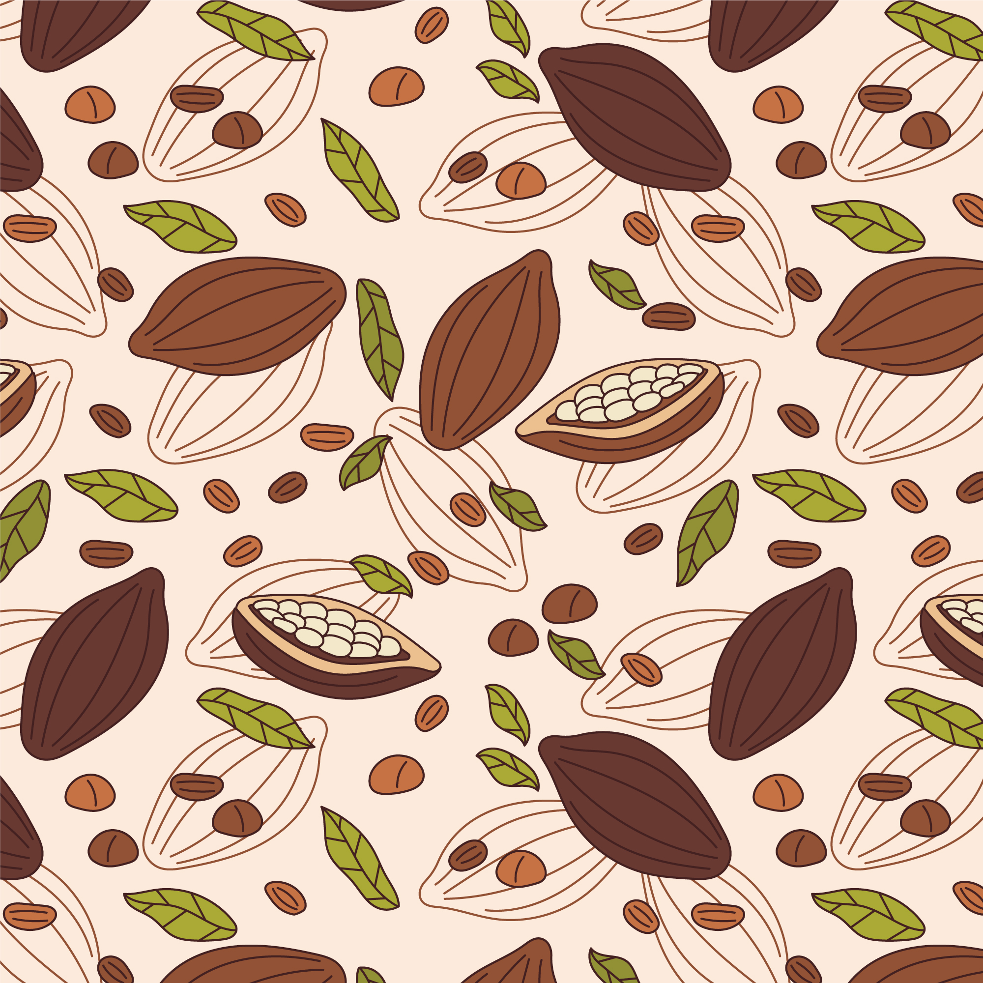 Hình minh họa quả cacao file vector - mẫu số 880