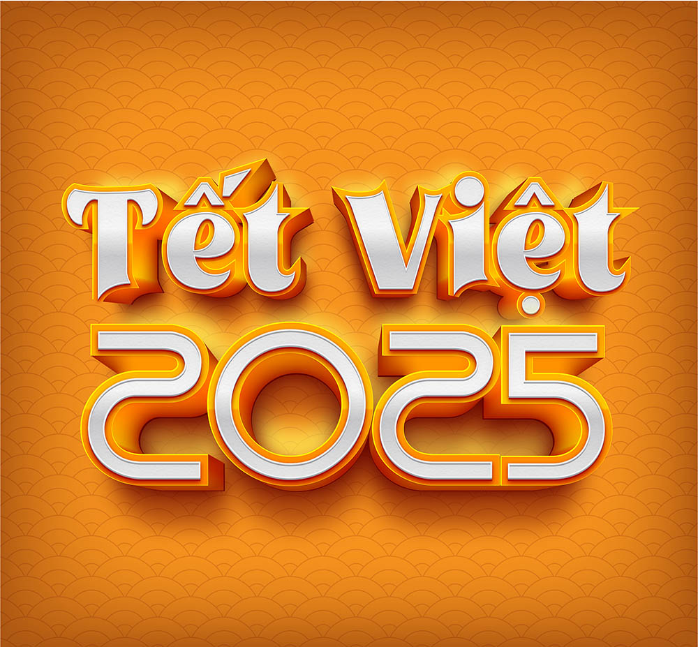 Số tết việt 2025 file vector - mẫu số 517