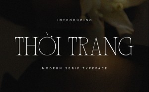 Font chữ nét mảnh serif hiện đại TH VADOLA | Font Việt hóa