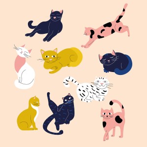 Bộ sưu tập cảm xúc của chú mèo cute file vector mẫu CM28