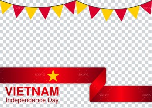 Ảnh cờ Việt Nam file PNG mẫu số 18