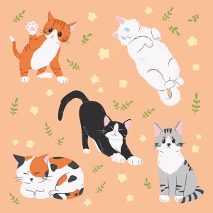 Bộ sưu tập biểu cảm của chú mèo cute file vector mẫu CM82