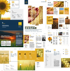 Catalog sản phẩn nông nghiệp hữu cơ số 3 file AI
