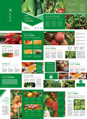 Catalog sản phẩn nông nghiệp hoa quả hữu cơ số 6 file PSD