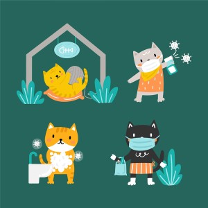 Bộ sưu tập những chú mèo cute file vector mẫu CM250