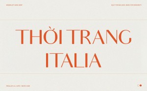 Font chữ sans serif hiện đại không chân SVN Audrey | Phông chữ miễn phí