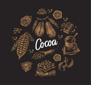 Hình minh họa quả cacao file EPS - mẫu số 7060