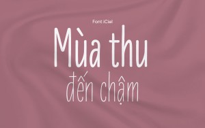 Font chữ hoạt hình iCiel LiebeErika Việt Hóa