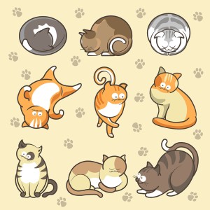 Bộ sưu tập cảm xúc của những chú mèo cute file vector mẫu CM46