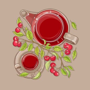 Hình minh họa trà cherry file vector mẫu số 816