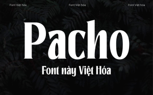 Font chữ in dậm đẹp 1FTV Pacho Việt Hóa