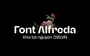 Bộ 6 font chữ SVN Alfreda Việt hóa sang trọng, hiện đại