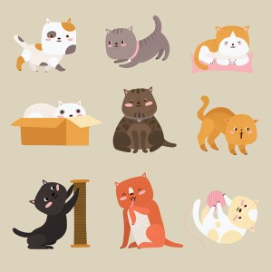 Bộ sưu tập hình ảnh những chú mèo cute file vector mẫu CM69